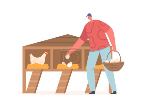 Illustrazione per Uomo che raccoglie uova nella fattoria del bestiame di pollo. Carattere contadino Raccogliere uova dalla cucina, raffigurante lavoro agricolo, pollame o prodotti connessi all'agricoltura. Illustrazione del vettore della gente del fumetto - Immagini Royalty Free