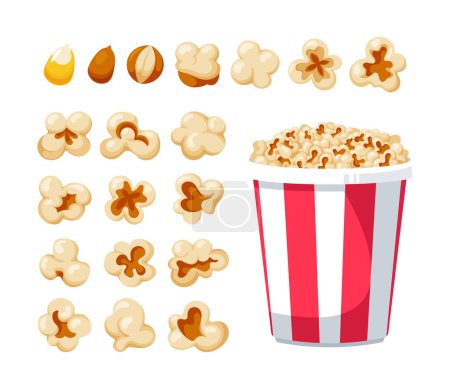 Set Of Popcorn Bucket and Seeds Includes Various Shapes, Ranging From Round To Oblong, Waiting To Be Popped Into A Delicious Snack Isolated on White Background. Cartoon Vector Illustration