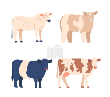 Illustration for Cows And Bulls Different Breeds, Ideal For Farm And Animal Enthusiasts Or For Educational Purposes. Each Bovine Displaying Unique Physical Features And Markings. Cartoon Vector Illustration - Royalty Free Image