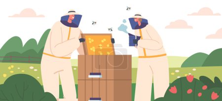 Illustration for Apiarist Characters in Protective Uniform and Hat Care of Bees Smoking Hive with Honeycombs. Beekeeping Apiary Industry. Farmers Produce Honey. Apiculture Natural Product. Cartoon Vector Illustration - Royalty Free Image