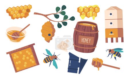 Téléchargez les illustrations : Ensemble d'articles apicoles. Fumeur, ruche, tonneau, reine et abeille, trempette au miel ou cadre. Ces outils essentiels sont utilisés par les apiculteurs pour maintenir leurs ruches et prendre soin des abeilles. Illustration vectorielle de bande dessinée - en licence libre de droit