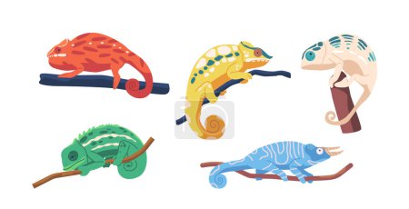 Set of Colorful Chameleons on Tree Branches, With Distinctive Eyes, Long Tails, And Ability To Change Color, Unique Animals Capable Of Adapting To Different Environments. Cartoon Vector Illustration