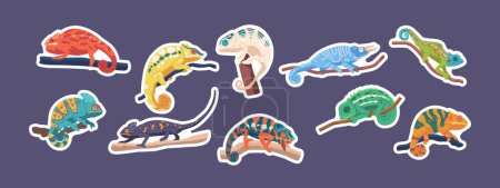 Illustration for Set of Stickers Chameleon Reptiles on Branches. Lizards with Long, Sticky Tongues And Distinctive Eyes, Found In Warm Climates And Adapted To Arboreal Lifestyles. Cartoon Vector Illustration, Patches - Royalty Free Image