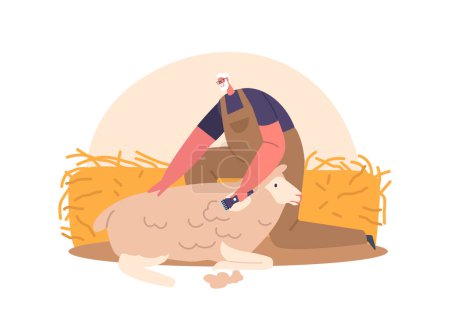 Illustration for Farmer Sheepshearer Shears Wool From Sheep in Barn To Sell Or Use For Textiles. Male Character Using Sharp Shears To Remove The Wool From The Sheeps Body. Cartoon People Vector Illustration - Royalty Free Image