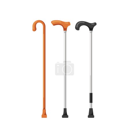 Illustration for Elegant Collection Of Walking Canes For Stability And Support. Various Styles, Materials, And Handles Available, Providing Comfort And Confidence For Walking And Mobility. Cartoon Vector Illustration - Royalty Free Image