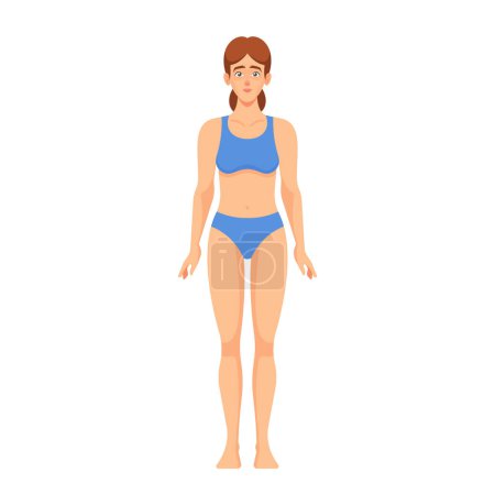 Illustration for Female Body Anatomy. Head, Neck, Shoulders, Chest and Breasts, Abdomen, Waist or Hips. Thighs, Knees, Calves and Ankles, Feet, Arms, Elbows, Forearms or Wrists, Hands and Fingers. Vector Illustration - Royalty Free Image