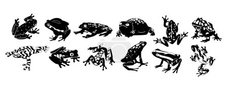 Ilustración de Ranas exóticas Iconos en blanco y negro, representando la belleza única de estos anfibios con elegancia minimalista. Elementos perfectos para diseños y proyectos temáticos de la naturaleza. Ilustración de vectores de dibujos animados - Imagen libre de derechos