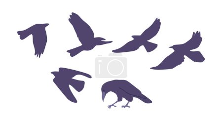 Ilustración de Pájaros negros misteriosos e inteligentes, cuervos son conocidos por sus garras distintivas, plumas elegantes y capacidad de adaptarse a diversos entornos. Ilustración de vectores de dibujos animados - Imagen libre de derechos