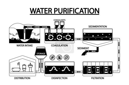 Infographies en noir et blanc montrant le processus de purification de l'eau. Prise d'eau, coagulation, sédimentation, filtration, désinfection, entreposage et distribution. Illustration vectorielle de bande dessinée