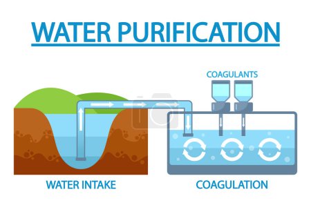 Illustration for Water Purification Stages Involve Intake Of Raw Water Followed By Coagulation, Where Impurities Clump Together For Easy Removal, Ensuring Cleaner And Safer Drinking Water. Cartoon Vector Illustration - Royalty Free Image