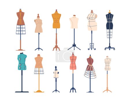 Illustration for Adjustable Sewing Mannequins For Garment Sewing, Made Of Durable Materials, It Provides Women, Men and Kids Body Shapes And Sizes For Accurate Fitting And Designing. Cartoon Vector Illustration - Royalty Free Image