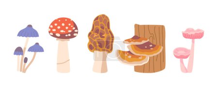 Illustration for Isolated Forest Mushrooms Set. Toadstools, Morel, Amanita and Woolly Milkcap Fungi Plants Create A Whimsical Atmosphere, Inviting You To Explore Their Mysterious Allure. Cartoon Vector Illustration - Royalty Free Image