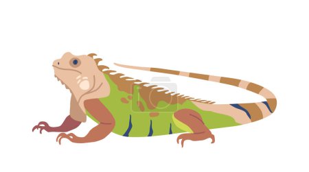 Varan, un grand lézard carnivore trouvé en Asie, connu pour ses mâchoires puissantes et sa langue fourchue. Il a une longue queue, des griffes acérées et un motif distinct d'écailles sur le corps. Illustration vectorielle de bande dessinée