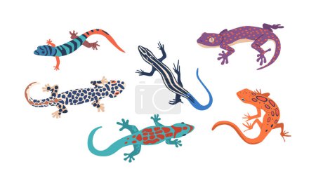 Illustration for Exotic Lizards Set, Vibrant And Fascinating Reptiles With Unique Patterns And Colors. They Captivate With Their Intricate Scales And Enchanting Behaviors. Cartoon Vector Illustration - Royalty Free Image
