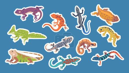 Illustration for Set Of Stickers with Exotic Lizards And Varans. Reptiles with Unique Colors, Patterns And Size. Fascinating Pets With Striking Appearances And Intriguing Behaviors. Cartoon Vector Isolated Patches - Royalty Free Image