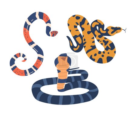Téléchargez les illustrations : Serpents exotiques captiver avec leurs modèles uniques et couleurs frappantes. Des échelles vibrantes du roi Cobra aux motifs hypnotiques du python des arbres. Illustration vectorielle de bande dessinée - en licence libre de droit