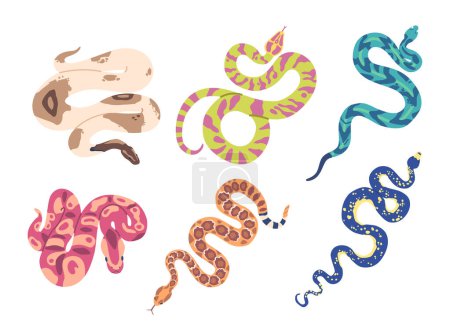Ilustración de Intrigantes y cautivadoras serpientes exóticas poseen colores vibrantes, patrones únicos y comportamientos fascinantes. Hábitats cautivadores, diversas especies con aspecto llamativo. Ilustración de vectores de dibujos animados - Imagen libre de derechos