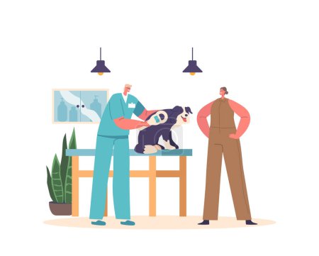 Illustration for Veterinary Doctor Providing Chipping to Dog, Implanting A Small Microchip Under An Animal Skin, for Identification And Tracking Capabilities For Pets, Wildlife Management. Cartoon Vector Illustration - Royalty Free Image