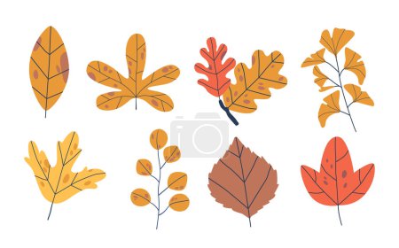 Jesienny zestaw liści izolowany na białym tle. Kolekcja elementów naturalnych, oddaje piękno sezonu z żywe czerwone, pomarańczowe i żółte liście. Ilustracja wektora kreskówek