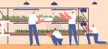 Illustration for Characters Team Construct and Assemble Microgreen Racks, Arranging Shelves, Lamps And Frames To Create An Organized Space For Growing Tiny, Nutrient-rich Plants. Cartoon People Vector Illustration - Royalty Free Image