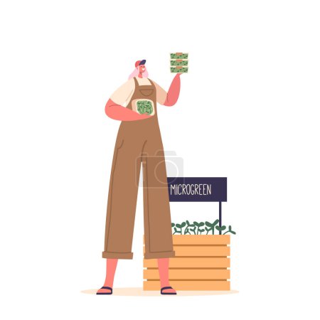 Ilustración de Mujer vende Microgreens, ofreciendo opciones frescas y nutritivas para los clientes conscientes de la salud que buscan mejorar sus creaciones culinarias con ingredientes ricos en nutrientes. Ilustración de vectores de dibujos animados - Imagen libre de derechos