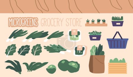 Illustration for Greenery Store with Microgreens, Vegetable and Organic Greens Set. Fresh Produce, High-quality Products For Healthy Living And Convenient Shopping, Grocery Food Icons. Cartoon Vector Illustration - Royalty Free Image