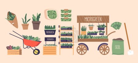 Illustration for Set of Icons Microgreens, Green, Fresh Salads on Shelf or Rack, Trolley, Wooden Box and Soil in Sack. Shovel, Money and Raw Greenery Assortment Isolated Elements. Cartoon Vector Illustration - Royalty Free Image