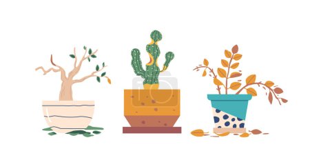 Illustration for Set Of Neglected Houseplants, Drooping Leaves And Parched Soil, Portraying A Sad Scene Of Botanical Despair In Need Of Tender Care And Attention. Wilted Dying Plants. Cartoon Vector Illustration - Royalty Free Image