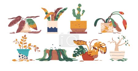 Collection Of Wilted Houseplants In Various Stages Of Decline, With Drooping Leaves And Dry Soil, Showcasing The Struggle For Survival In A Neglected Environment. Cartoon Vector Illustration