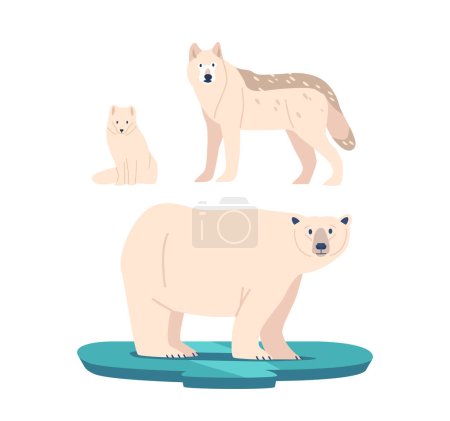 Illustration for Polar Bear, Arctic Fox and Wolf, Are Iconic Arctic Animals, Adapted For Extreme Cold. These Cold-adapted Creatures Thrive In The Icy Landscapes Of The Far North. Cartoon Vector Illustration - Royalty Free Image