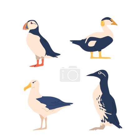Illustration for Arctic Birds Include Puffin, Snow Bunting, And The Hardy Arctic Tern, All Thriving In The Frigid, Breathtaking Polar Landscapes. Polar Avian Spices Isolated Collection. Cartoon Vector Illustration - Royalty Free Image