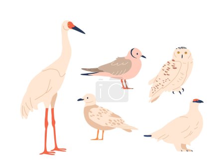 Illustration for Arctic Birds Include The Iconic Snowy Owl, Gull, Heron, Arctic Tern, And Gyrfalcon. These Hardy Avian Species Thrive In The Extreme Cold Of The Arctic Region. Cartoon Vector Illustration - Royalty Free Image