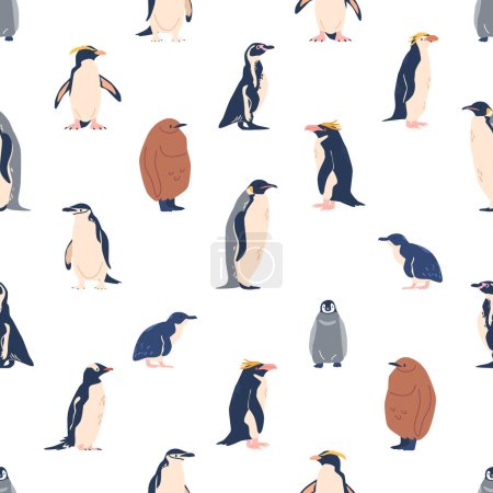 Illustration for Seamless Pattern with Penguins Various Species. Emperor, Adelie, Gentoo, Rockhopper, King And Macaroni, Fluffy, Little And African And Chinstrap Penguin Types. Vector Tile Repeated Background - Royalty Free Image