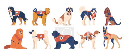 Illustration for Avalanche Rescue Dogs Isolated Set. Specially Trained Canines Deployed To Locate And Rescue Avalanche Victims, Using Their Keen Senses To Save Lives In Snowy Peril. Cartoon Vector Illustration - Royalty Free Image