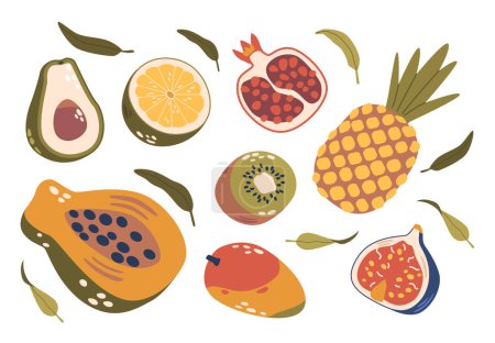 Illustration for Tropical Fruits Set. Pineapple, Figs, Garnet And Papaya With Lime, Avocado, Kiwi Or Mango. Vibrant, Delectable Exotic Produce with Juicy, Sweet Flavors And Vibrant Colors. Cartoon Vector Illustration - Royalty Free Image