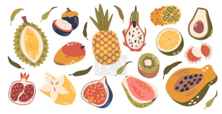 Illustration for Tropical Fruits Set. Durian, Lychee, Pineapple and Dragon Fruit. Carambola, Figs, Garnet and Papaya with Guava. Lime, Avocado, Kiwi, Rambutan or Mango Sweet Exotic Treats. Cartoon Vector Illustration - Royalty Free Image
