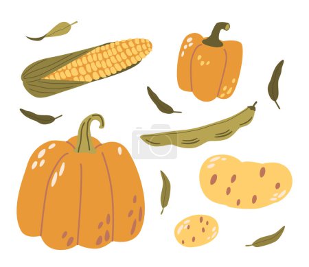 Illustration for Fresh Corn, Pumpkin, Beans, And Potatoes Vegetables. Bountiful Autumn Harvest. Vibrant, Earthy Ingredients Are The Essence Of Wholesome, Seasonal Cuisine. Cartoon Vector Illustration - Royalty Free Image