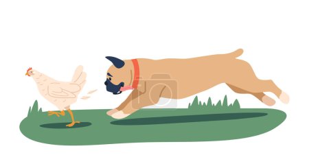 Illustration for French Bulldog Dog Character Aggressively Chasing A Chicken Exhibits Predatory Behavior, Posing A Risk To The Bird Safety And Requiring Training To Address The Issue. Cartoon Vector Illustration - Royalty Free Image