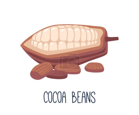 Téléchargez les illustrations : Les fèves de cacao sont les graines du cacao, utilisées pour faire du chocolat, et contiennent des solides de cacao et du beurre de cacao. Ingrédients fondamentaux dans la production de chocolat. Illustration vectorielle de bande dessinée, icône - en licence libre de droit