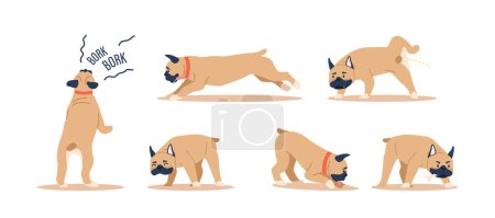 Illustration for Set of French Bulldogs, Are Known For Their Affectionate And Playful Behavior. Friendly, Easygoing Companions. They Enjoy Cuddling And Short Bursts Of Energetic Play. Cartoon Vector Illustration - Royalty Free Image