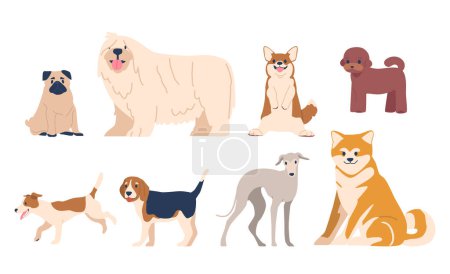 Illustration for Pug, Shiba, Inu or Komondor, Corgi, Jack Russel, Puddle and Beagle Dogs Isolated on White Background. Loyal, Loving Companions In Various Breeds, Sizes And Temperaments. Cartoon Vector Illustration - Royalty Free Image