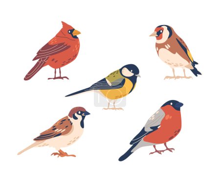 Illustration for Chickadee, Northern Cardinal, Sparrow, Goldfinch and Bullfinch Birds Isolated on White Background. Beautiful Creatures, Winter and Autumn Birds. Cartoon Vector Illustration - Royalty Free Image