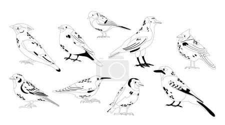 Illustration for F European Winter and Autumn Bird Species Isolated Linear Vector Icons Set. Wild Or Garden Birdies. Goldfinch, Small Tit, Northern Cardinal, Sparrow and Crow, Woodpecker, Jay, Chickadee and Bullfinch - Royalty Free Image