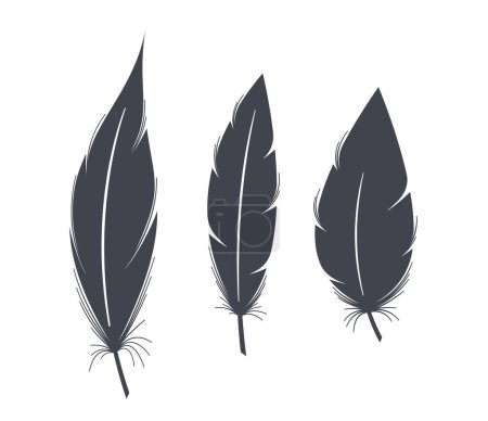 Illustration for Black Feather Silhouettes. Elegant, Intricate Bird Plumes In Shadow, Capturing Graceful Contours. Ideal For Artistic Designs, Adding Touch Of Sophistication And Mystery To Visuals. Vector Illustration - Royalty Free Image