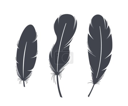 Illustration for Graceful Black Feather Silhouettes. Elegant, Striking And Versatile Plume Shadows, Perfect For Artistic Projects, Decorations, Or Symbolic Design Elements. Monochrome Vector Illustration - Royalty Free Image