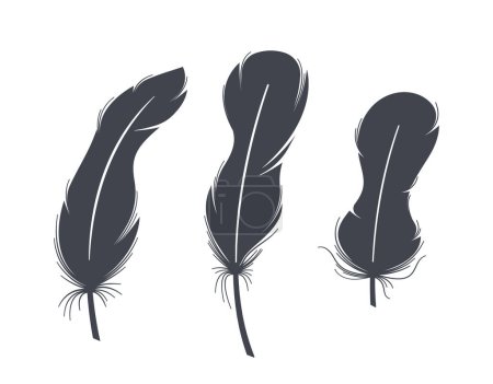 Illustration for Captivating Set Of Black Feather Silhouettes, Evoking Elegance And Mystery. Perfect For Artistic Designs, Crafts, Or Thematic Creations, Offering A Touch Of Sophistication To Vector Projects - Royalty Free Image