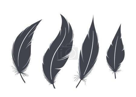 Illustration for Black Feather Silhouettes. Graceful Bird Plumes Shadow Isolated on White Background. Elegant And Versatile, Perfect For Artistic Designs, Decor, Or Symbolic Representations. Vector Illustration - Royalty Free Image