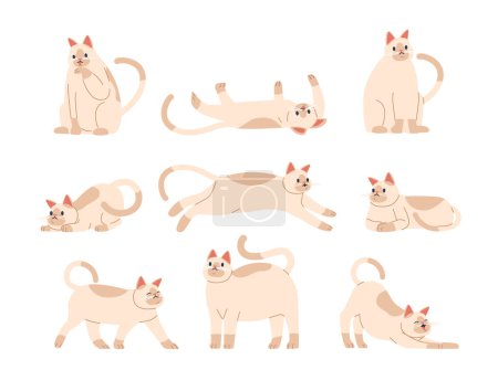 Illustration for Cat Poses Capture Feline Elegance And Playfulness. From The Classic Stretch To The Curious Pounce, Each Movement Embodies Agility, Grace, And The Essence Of Charming Companionship. Cartoon Vector Set - Royalty Free Image