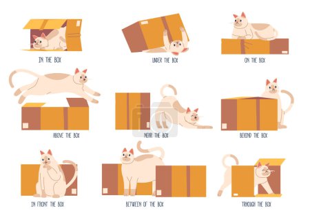 Lernpositionen im Weltraum mit niedlichen Katzenhaustieren in der Nähe, unter, hinter, zwischen, auf, vor, neben, zwischen Schachteln. Englische Präpositionen, Bildungsprogramme für Kinder. Zeichentrickvektorillustration