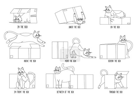 Illustration for Learning Positions In Space, Educational Visual for Kids with Cute Cat Pet Near, Under, Behind, Between, On, In Front Of, Beside, Between of Boxes. English Prepositions. Outline Vector Illustration - Royalty Free Image